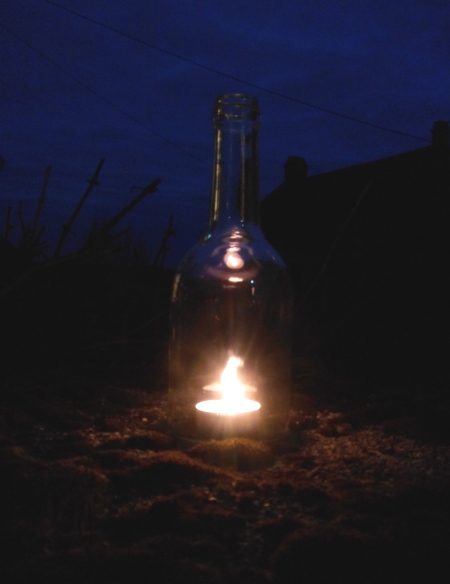 bouteillophore.jpg, janv. 2014 bouteillophore.jpg