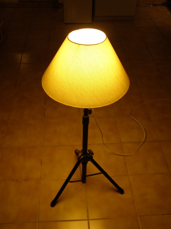 lampe_noire.jpg, janv. 2013 lampe_noire.jpg