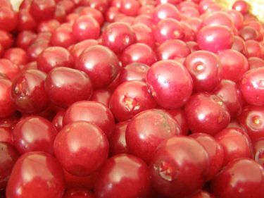 cerises_claf
