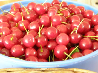 cerises_edv