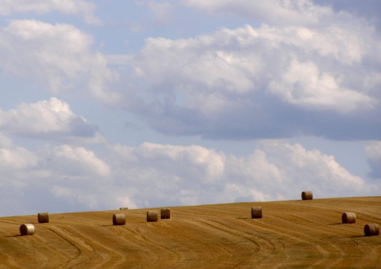 moisson_2011