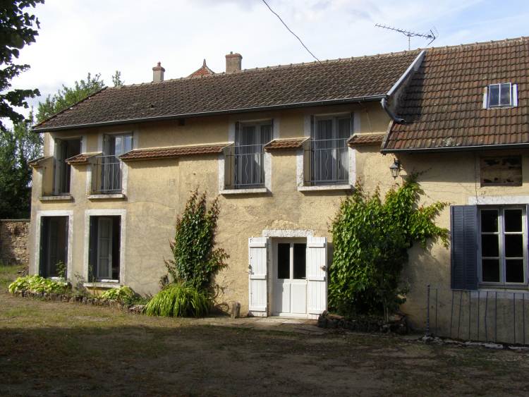 vas_vigne_vierge