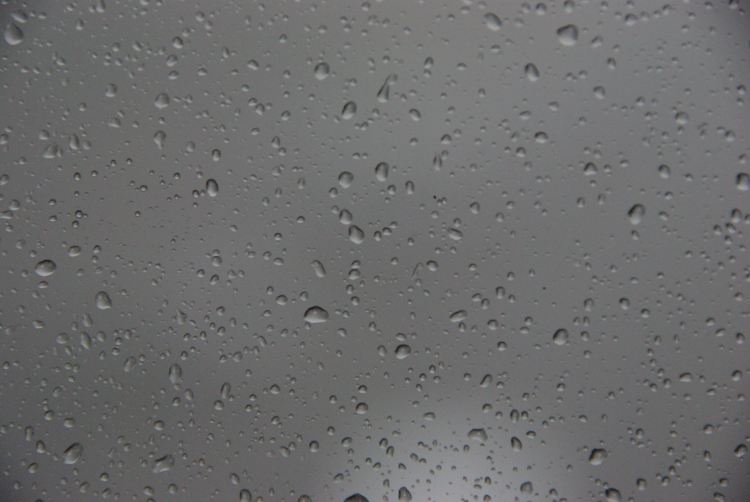 deluge1